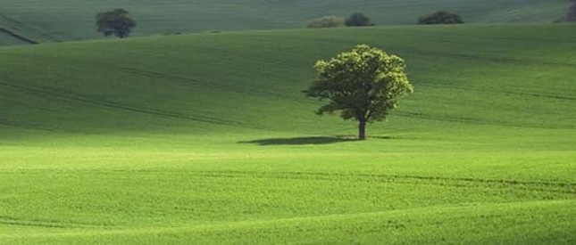 ALGI adına Türkiye'de Sosyal Sorumluluk denetimleri yapiyoruz